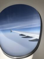 1584C845-7EA6-42C8-B320-0287C0F25065.jpeg