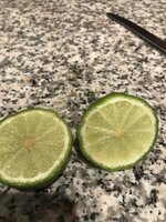 4869FA32-2F68-4D5D-96E0-D1B322825527.jpeg