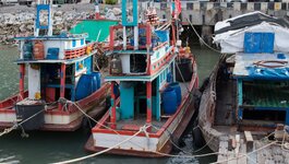 IMG_0311.jpg