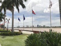 3AEF3D12-6F0C-4875-8DEB-AA272FFACDC3.jpeg
