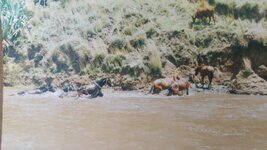 20180720_165130.jpg