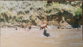 20180720_165115.jpg