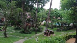 P_20180724_123233_vHDR_Auto.jpg