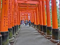 874286_49a2f9424eda8cfffe46fd6aeb26f6ca.jpg 874286_49a2f9424eda8cfffe46fd6aeb26f6ca.jpg