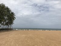 F56C07DF-31A2-4A9A-BDE6-256E31168294.jpeg