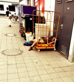 nürnberg.jpg nürnberg.jpg