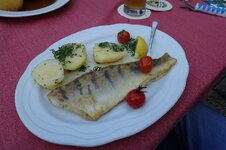 DSC05411.jpg