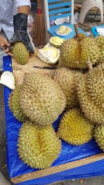 20180510_141324.jpg