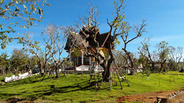 SAM_3164.jpg SAM_3164.jpg