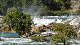 SAM_3167.jpg SAM_3167.jpg