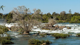 SAM_3169.jpg SAM_3169.jpg