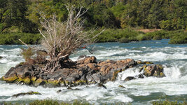 SAM_3171.jpg SAM_3171.jpg