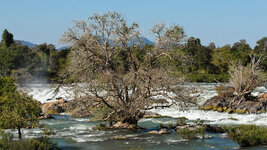 SAM_3177.jpg SAM_3177.jpg