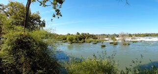 SAM_3175.jpg SAM_3175.jpg