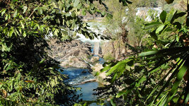 SAM_3186.jpg SAM_3186.jpg