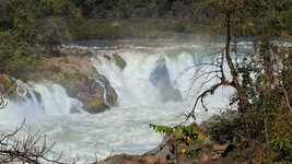 SAM_3190.jpg SAM_3190.jpg