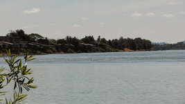 SAM_3236.jpg SAM_3236.jpg