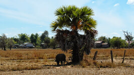 SAM_3228.jpg SAM_3228.jpg