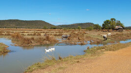 SAM_3248.jpg SAM_3248.jpg