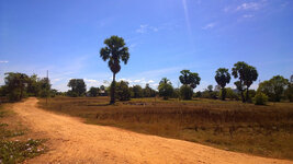 WP_20150111_12_21_30_Pro.jpg WP_20150111_12_21_30_Pro.jpg