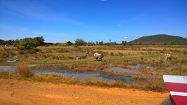 WP_20150111_12_28_57_Pro.jpg WP_20150111_12_28_57_Pro.jpg