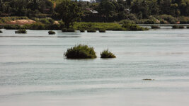 SAM_3258.jpg SAM_3258.jpg