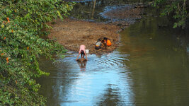 SAM_3259.jpg SAM_3259.jpg