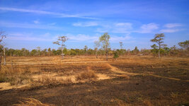 WP_20150118_08_56_16_Pro.jpg WP_20150118_08_56_16_Pro.jpg