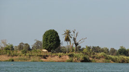 SAM_3278.jpg SAM_3278.jpg