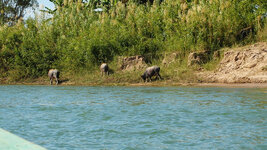 SAM_3281.jpg SAM_3281.jpg