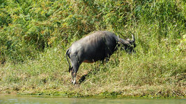 SAM_3282.jpg SAM_3282.jpg