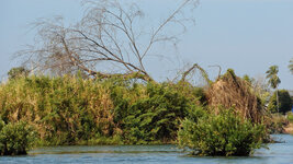 SAM_3284.jpg SAM_3284.jpg