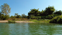 SAM_3285.jpg SAM_3285.jpg