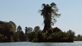 SAM_3287.jpg SAM_3287.jpg