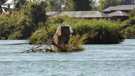 SAM_3289.jpg SAM_3289.jpg