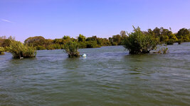 WP_20150118_09_57_04_Pro.jpg WP_20150118_09_57_04_Pro.jpg