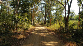 SAM_3329.jpg SAM_3329.jpg