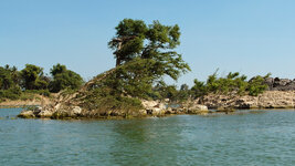 SAM_3344.jpg SAM_3344.jpg