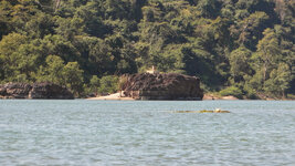 SAM_3346.jpg SAM_3346.jpg