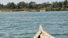 SAM_3353.jpg SAM_3353.jpg