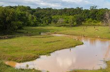 IMG_1565.jpg