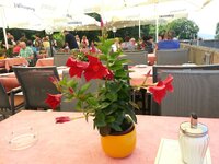 13 FR  0388.jpg