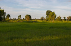 IMG_1649.jpg