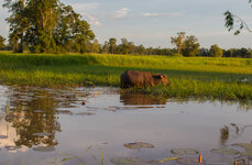 IMG_1662.jpg