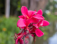 IMG_1840.jpg