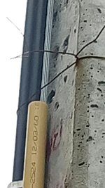 IMG_20180913_164139.jpg