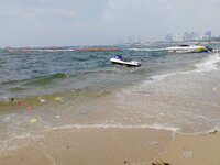 IMG_20180915_132119.jpg
