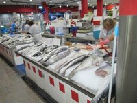 de31a7rl9kgioarb9.jpg de31a7rl9kgioarb9.jpg