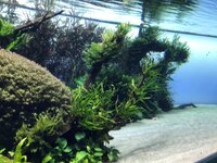 de65cxg1nfbwyw98l.jpg de65cxg1nfbwyw98l.jpg