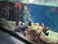 de65f3ir6ak3qo8ud.jpg de65f3ir6ak3qo8ud.jpg